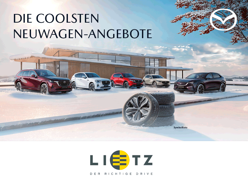 Sponsor SG Waidhofen