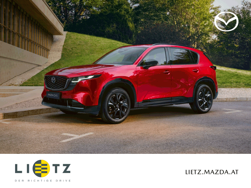 Sponsor SG Waidhofen